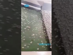 Metal Plastic Eddy Current Magnetic Separator Machine Price