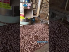 Biomass pellet machine, pellet machine, wood pellet machine